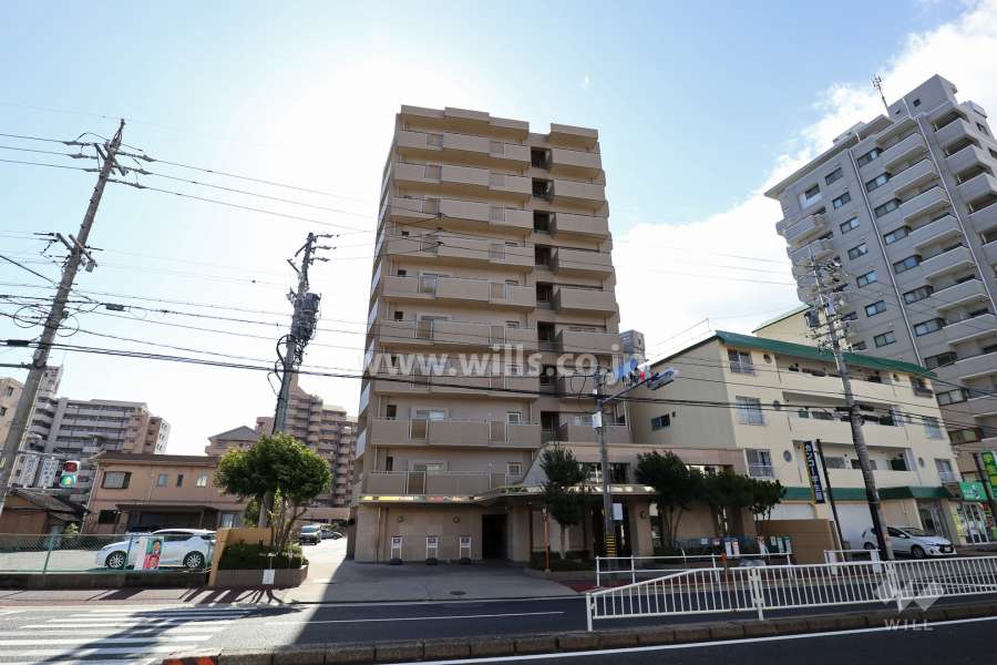 ネオグランデ藤ヶ丘の外観（北側から）