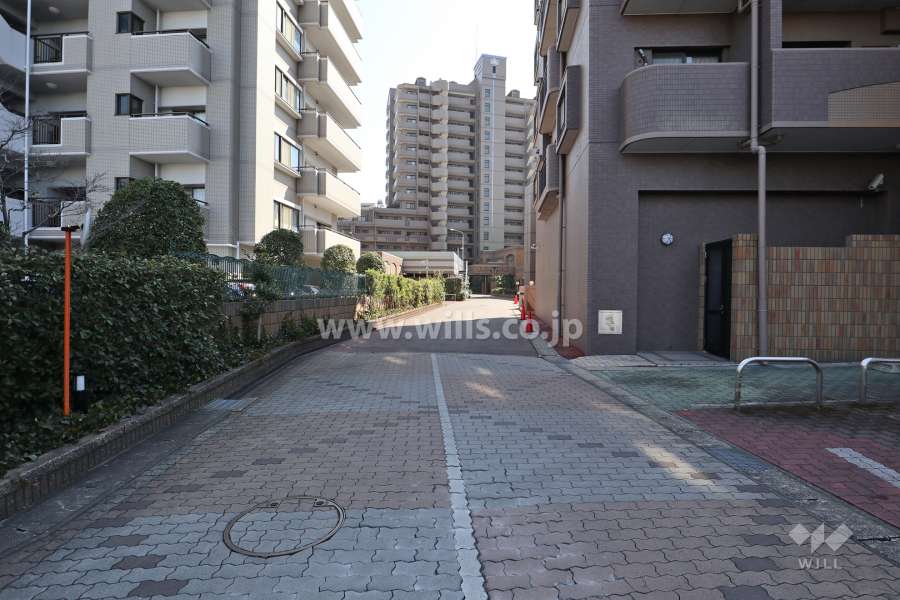 敷地内通路（北側から）