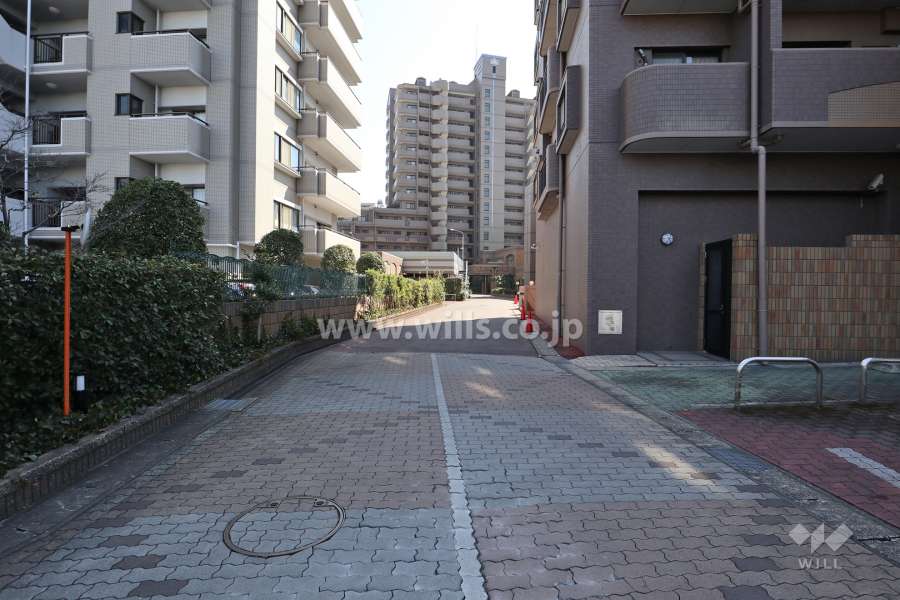 敷地内通路（北側から）