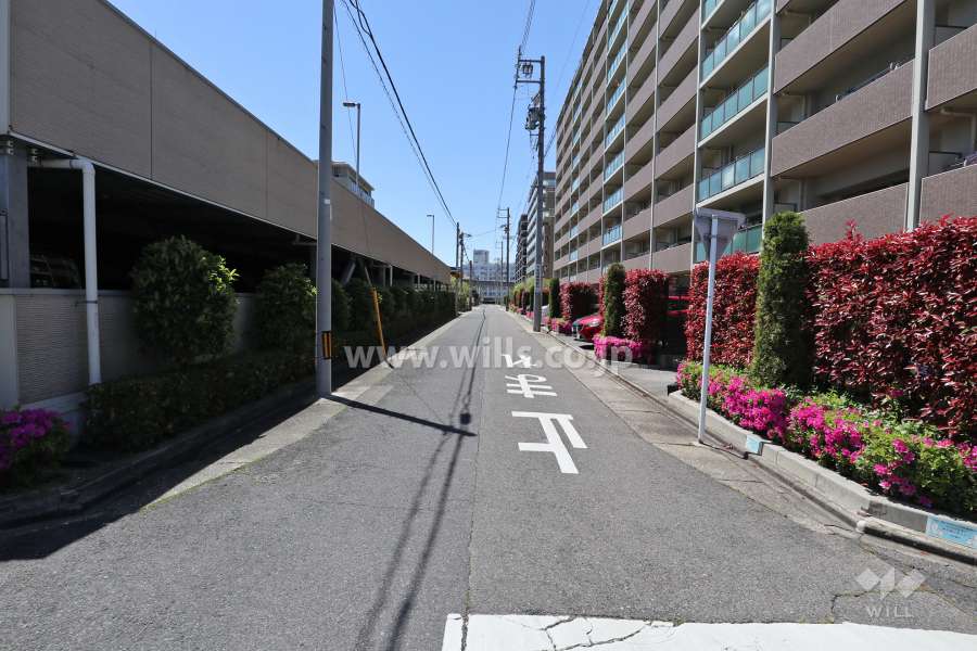 敷地北側の前面道路（東側から）