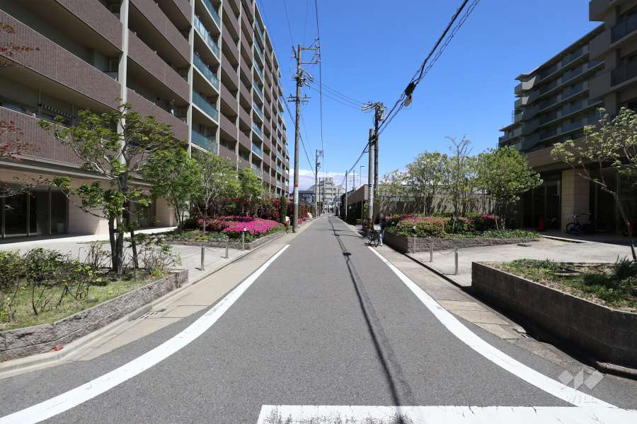敷地南側の前面道路（西側から）