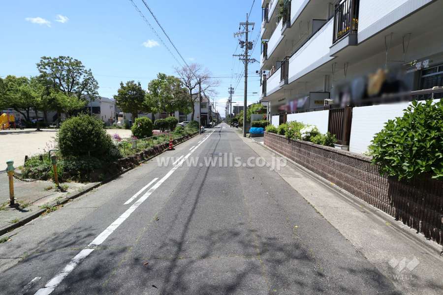 敷地南側の前面道路（東側から）