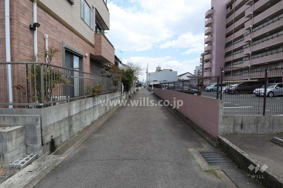 敷地北側の前面道路（西側から）