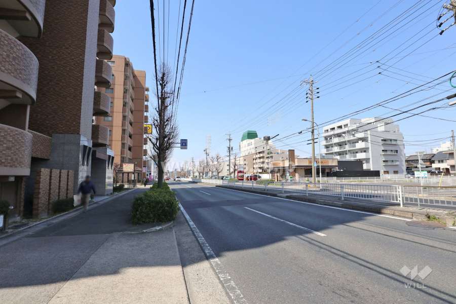 敷地の北側前面道路（東側から）
