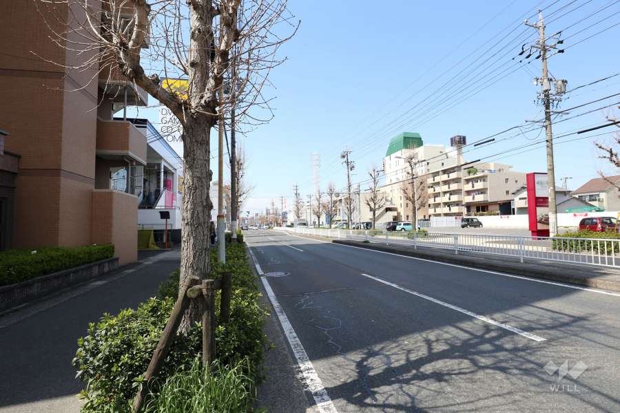敷地の北側前面道路（東側から）
