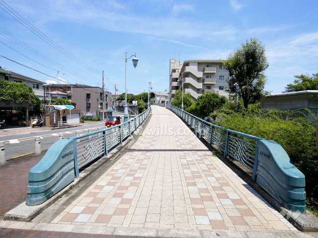 敷地北側の歩道