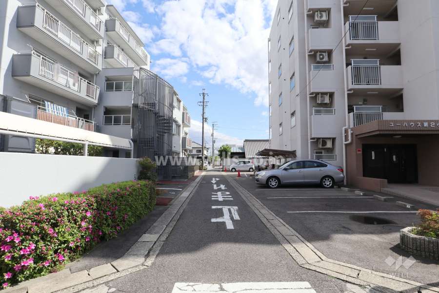 敷地西側の前面道路（北側から）