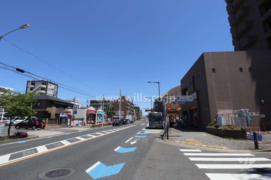 敷地北側の前面道路（西側から）