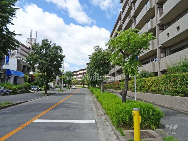 敷地南側の前面道路