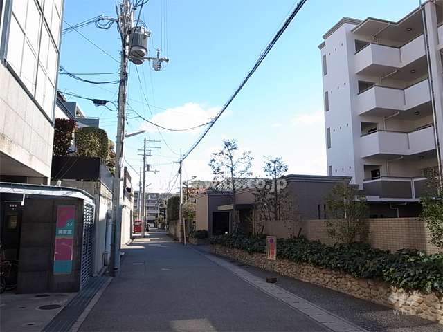 敷地北側の前面道路。敷地の南北2方が接道し、エントランスは北側道路に面してます。