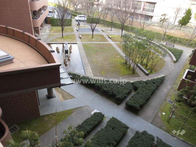 水盤のある緑豊かな中庭