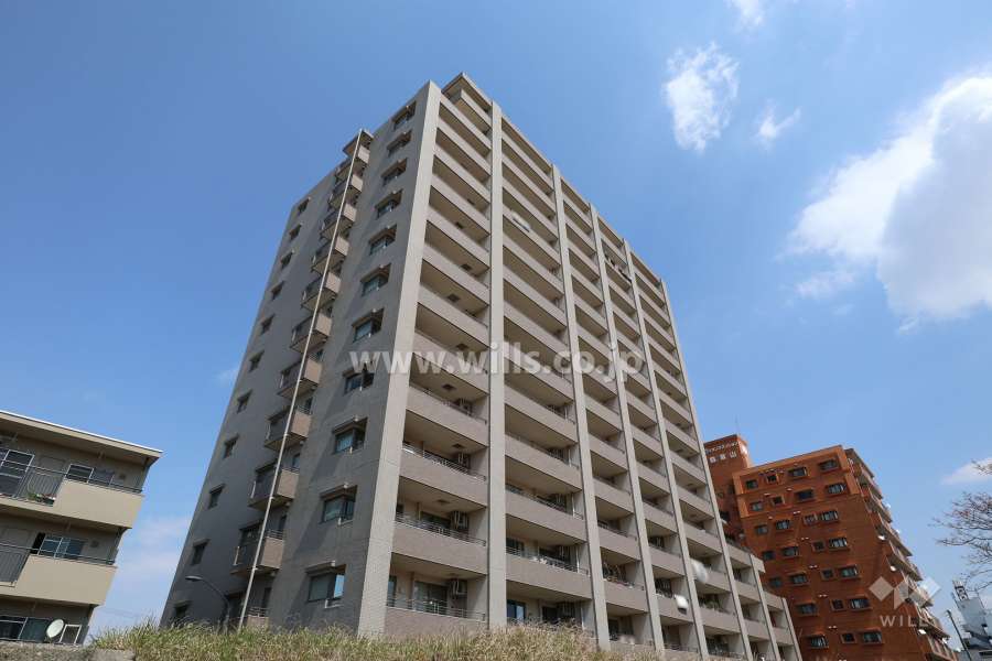 ダイアパレス千代田橋の外観（南西側から）