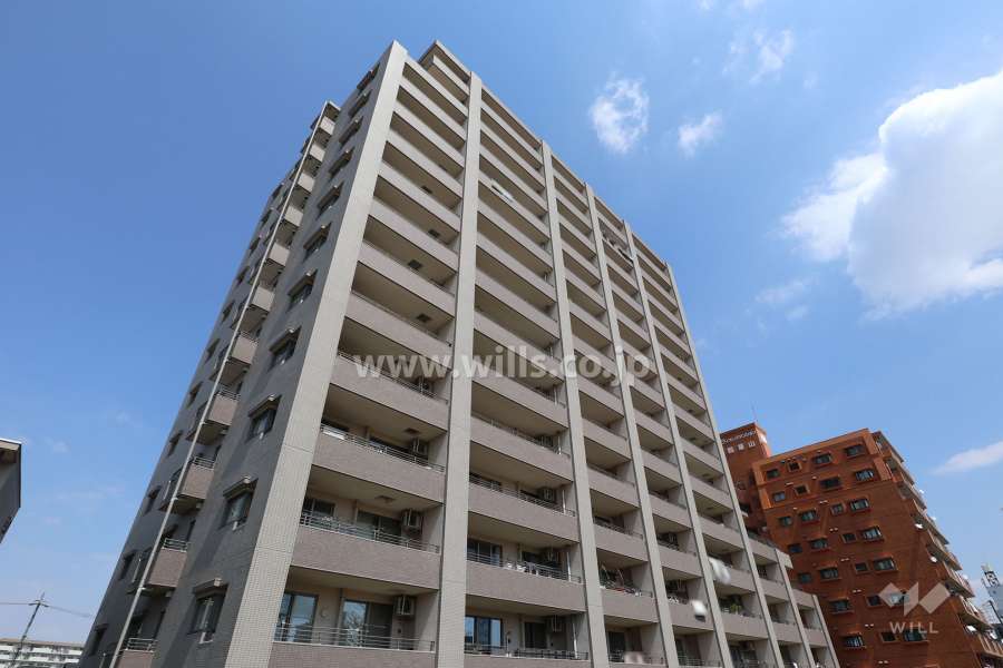 ダイアパレス千代田橋の外観（南西側から）