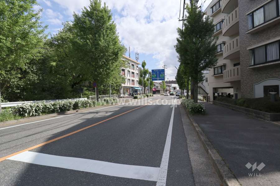 敷地東側の前面道路（北側から）
