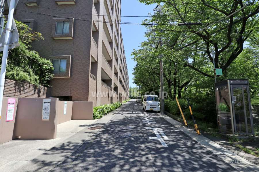 敷地南西側の前面道路。城土公園に面しています。