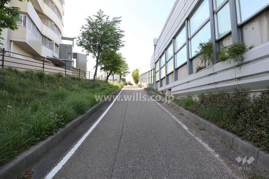 敷地北東側の前面道路（南東側から）