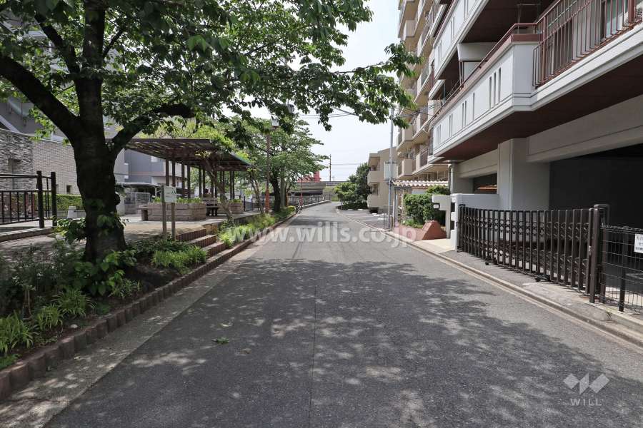 敷地南側の前面道路（東側から）
