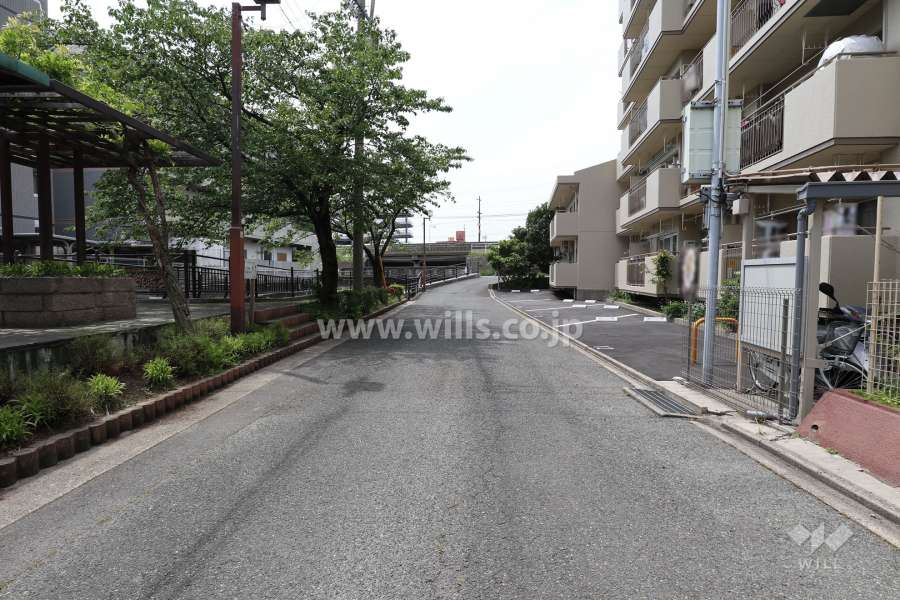 敷地南側の前面道路（東側から）