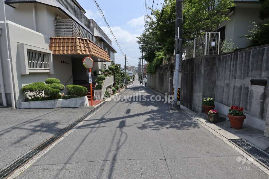 敷地の西側前面道路（北側から）