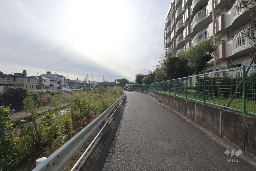 敷地南側の前面道路（北東側から）