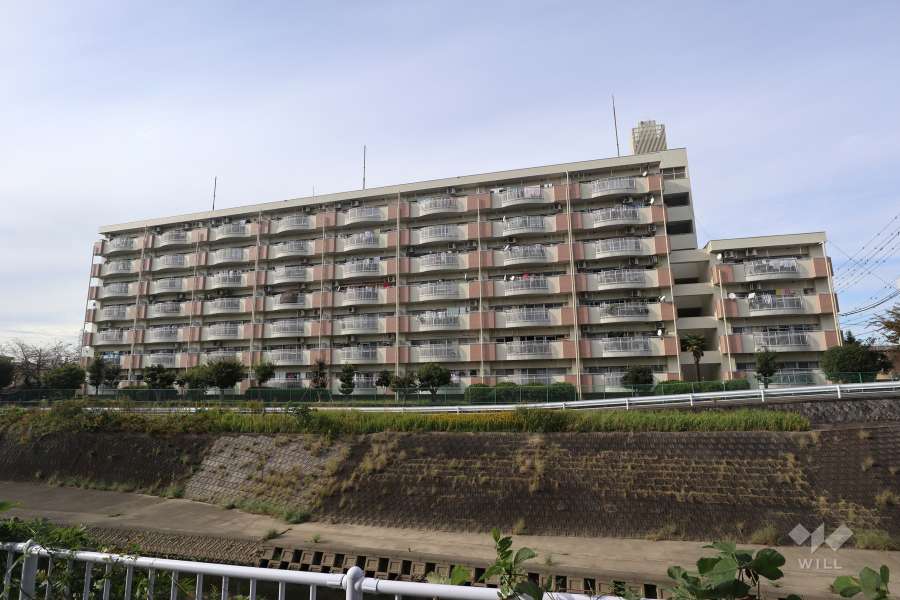 新森孝住宅の外観（南側から）