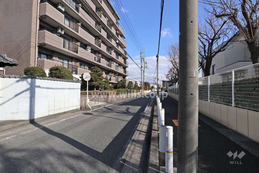 敷地南側の前面道路（西側から）