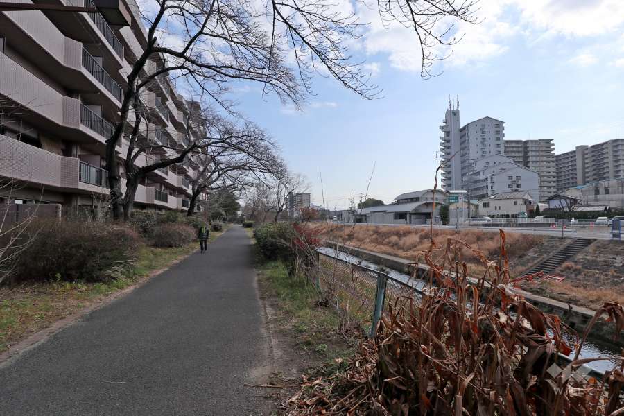 敷地南側の前面道路