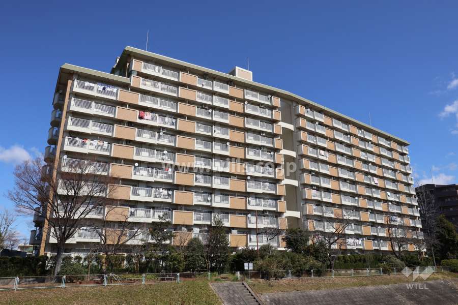 四軒屋住宅の外観（南西側から）