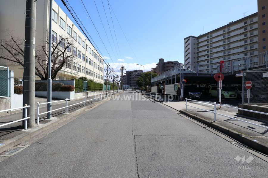 敷地の北側前面道路（西側から）