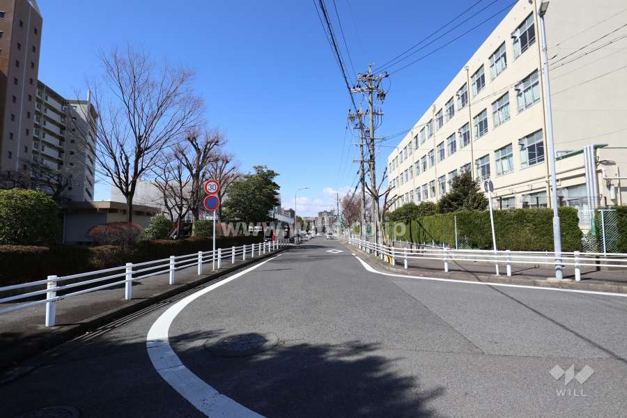 敷地の北側前面道路（東側から）