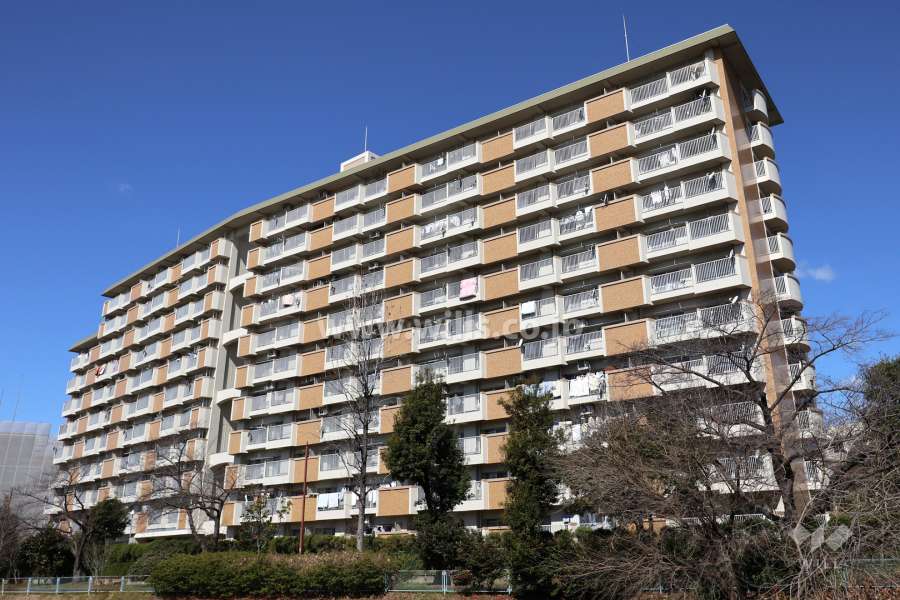 四軒屋住宅の外観（南東側から）