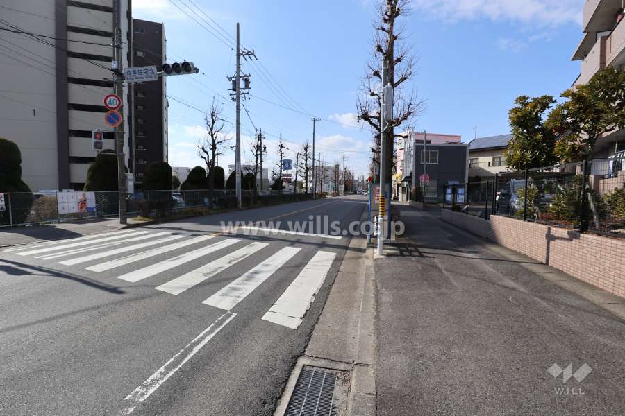 敷地北側の前面道路（東側から）