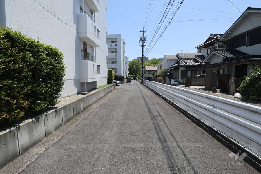 敷地西側の前面道路（北側から）