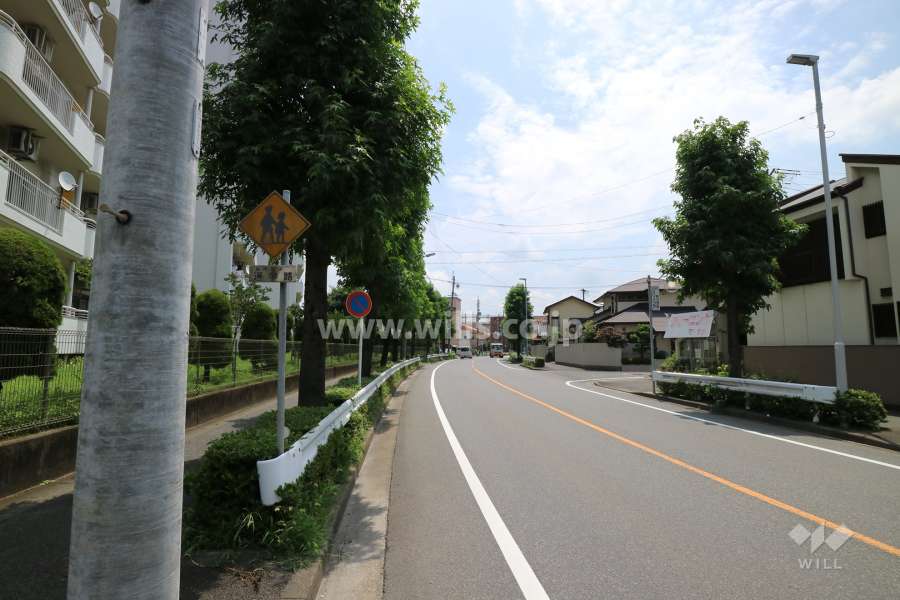 敷地の南側前面道路(西側から)