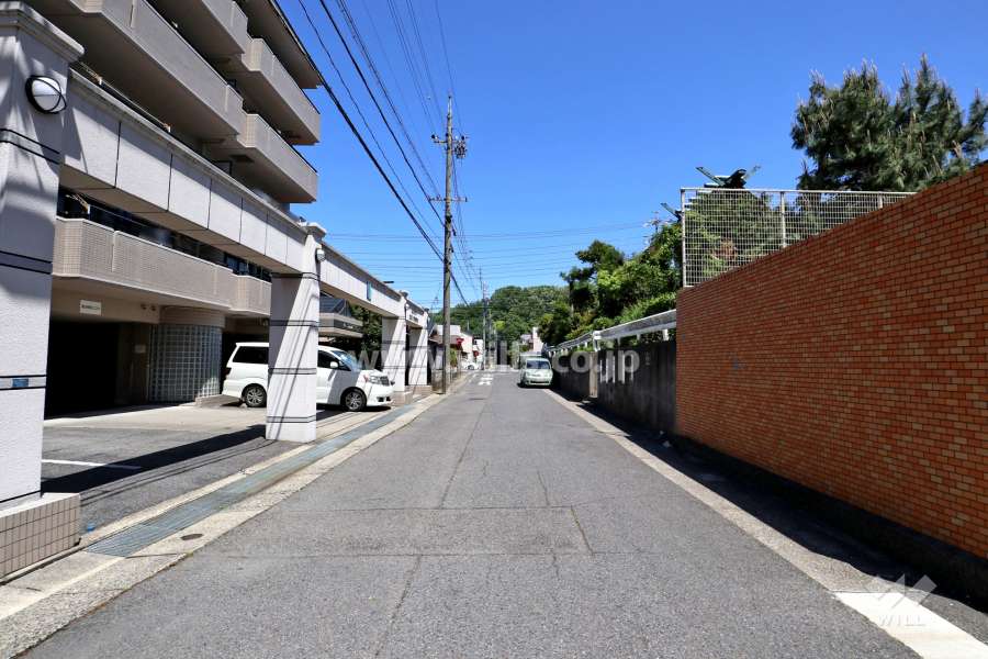 敷地南側の前面道路