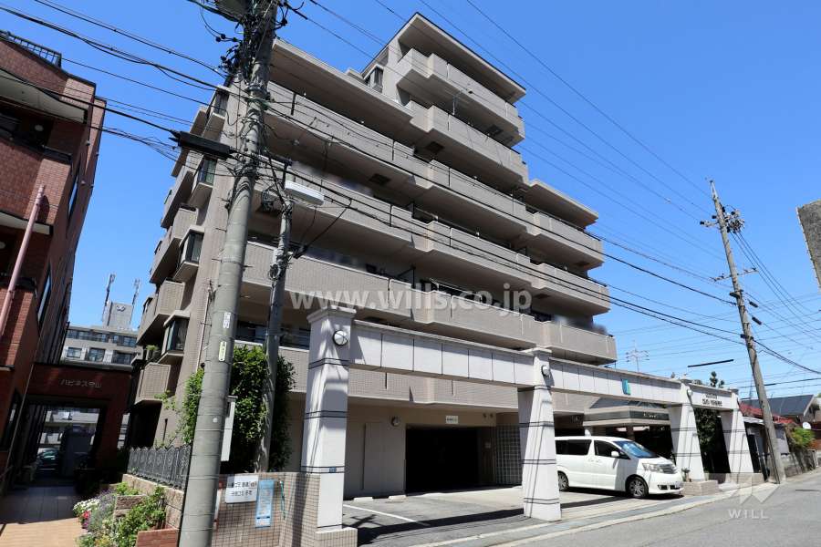 グローリアス小幡西城の外観（南西側から）