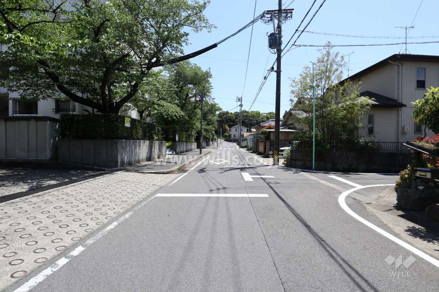 敷地西側の前面道路（北側から）