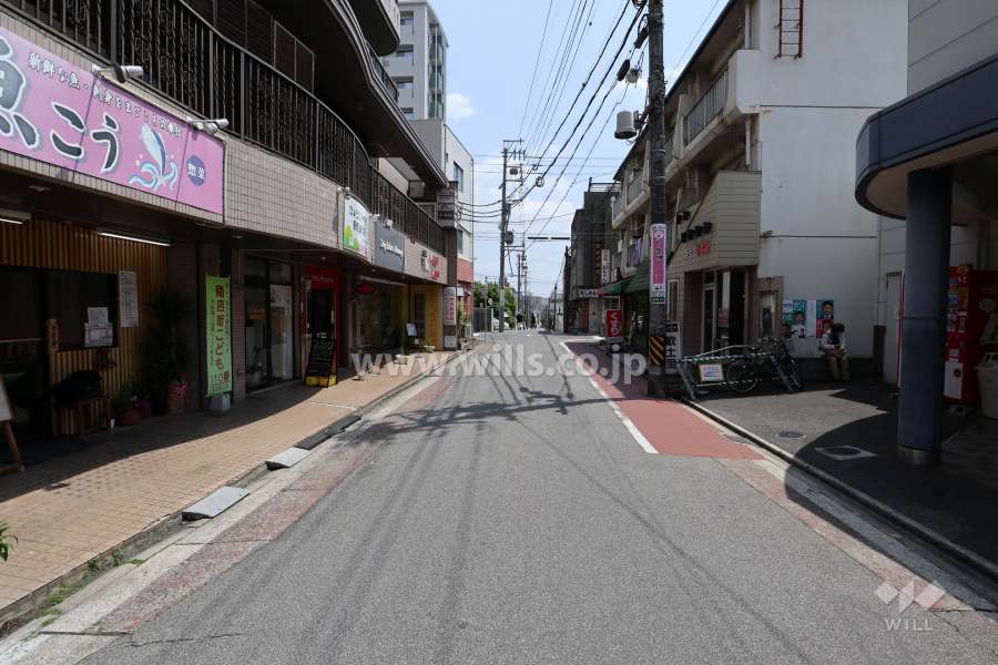 敷地の西側前面道路（北側から）