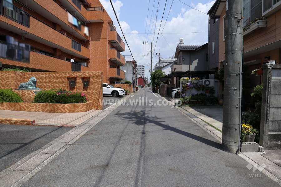 敷地の南側前面道路（西側から）