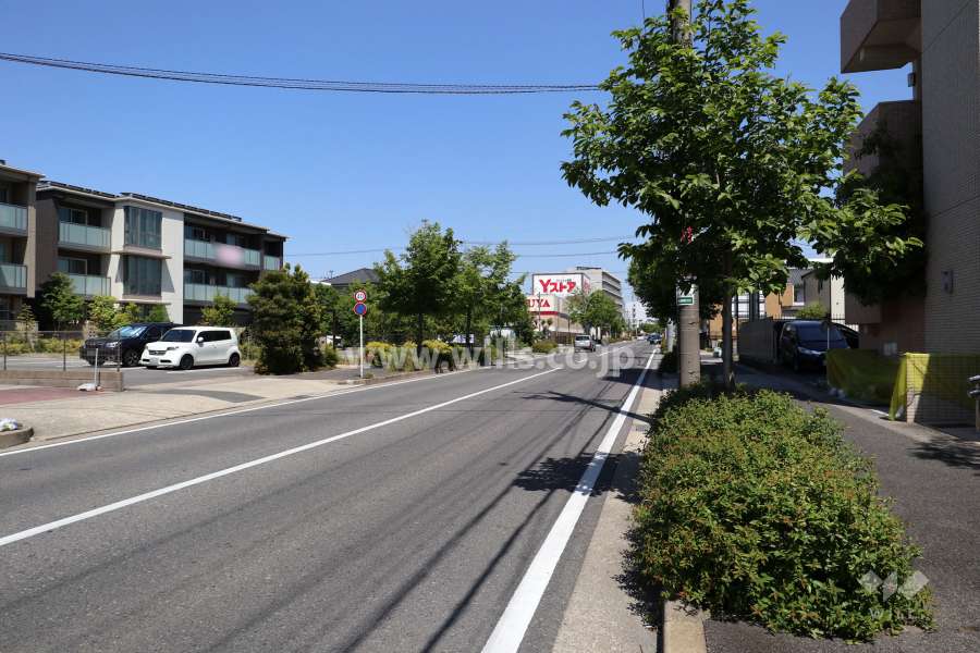 敷地南側の前面道路（西側から）