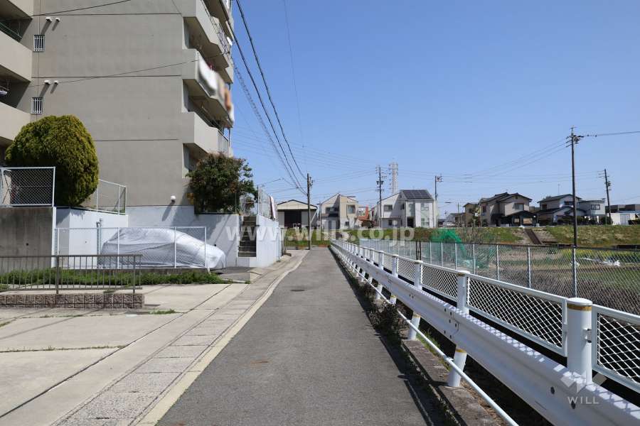 敷地南側の前面道路（西側から）