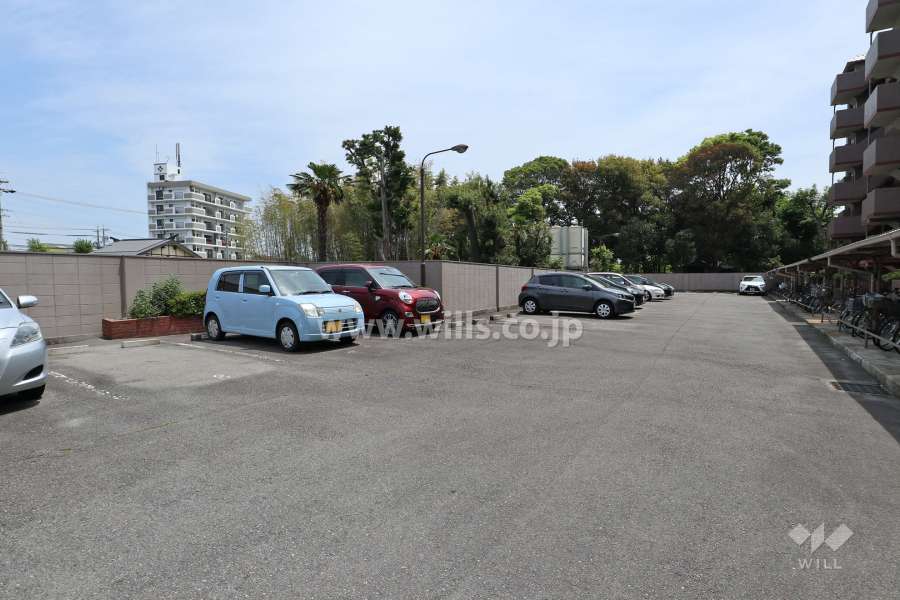敷地内駐車場（屋外平面式）