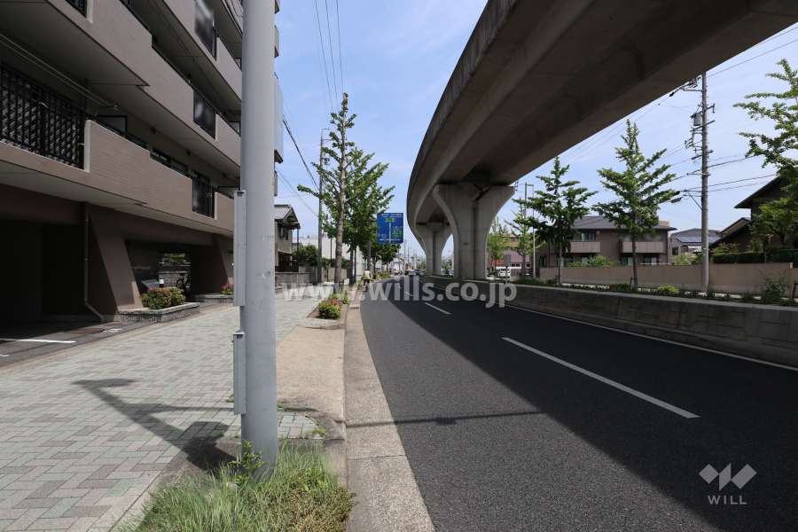 敷地東側の前面道路（南側から）