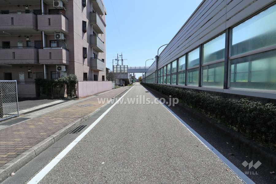 敷地西側の前面道路（北側から）