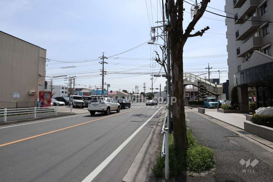 敷地東側の前面道路（北側から）