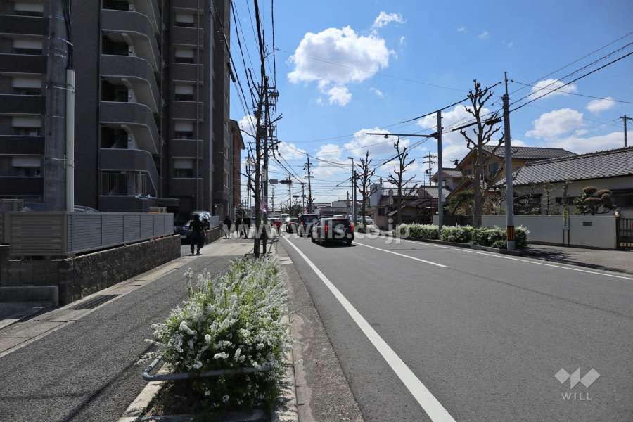 敷地の西側前面道路（北側から）