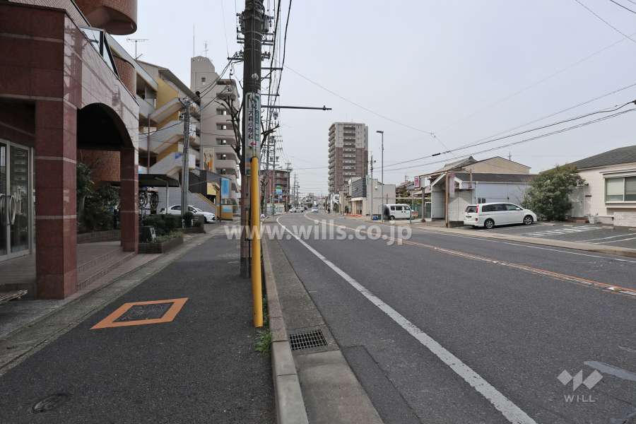 敷地北側の前面道路（西側から）