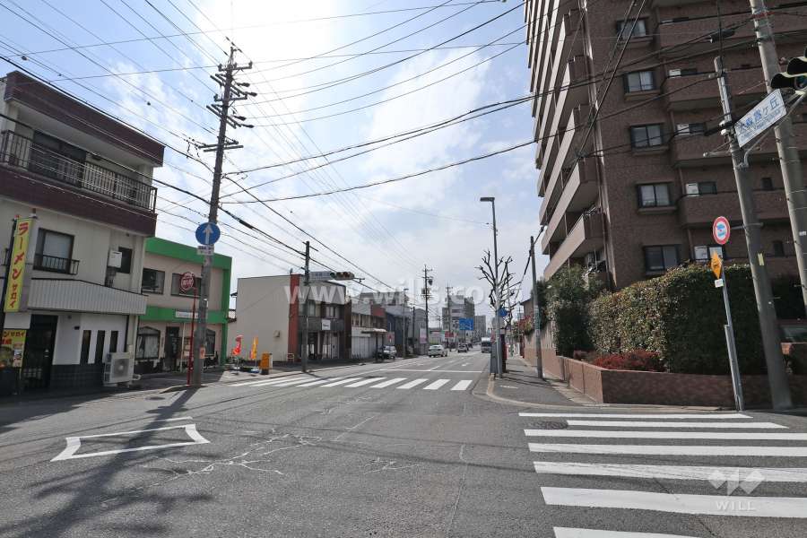 敷地の南東側前面道路（北東側から）