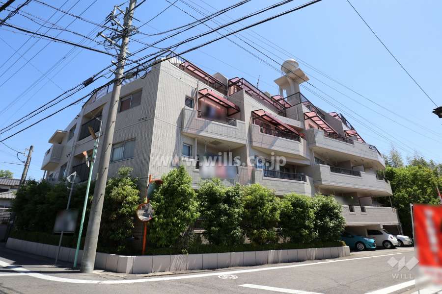 大森アイリスの外観（南西側から）