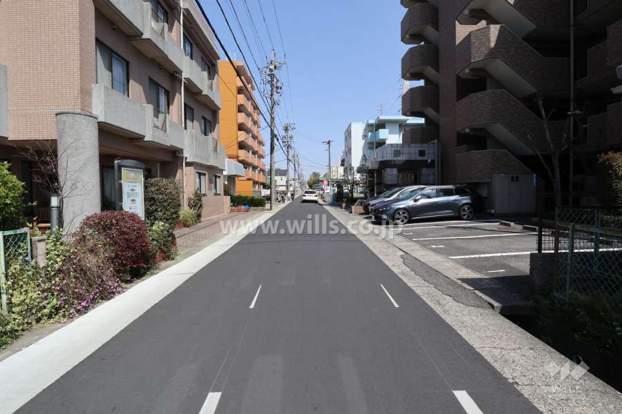 敷地の北側前面道路（西側から）